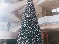 -上海新发展亚太JW万豪酒店