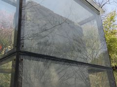 -香雪海