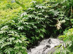 -重庆彩云湖湿地公园