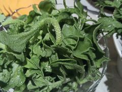 -一叶一世界·素食餐厅(锦华万达店)