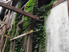 -书隐楼