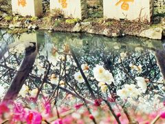 -光福景区