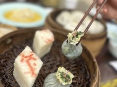 -富春茶社(国庆路店)