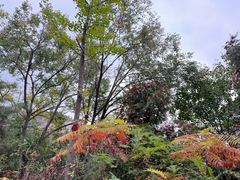 -玉渡山自然风景区