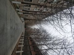 -西北农林科技大学(北校区)