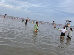 -碧海金沙