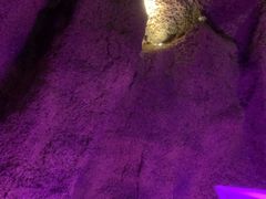 -碧涛阁·泡泡海洋·汤泉洗浴(王府花园店)