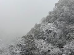 -青城山