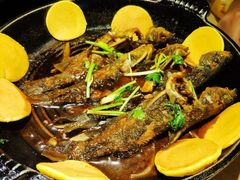 泡饼-关东小磨东北菜(上海长风大悦城店)