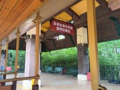 -东部华侨城
