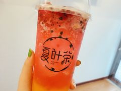 -夏叶茶(大光明店)