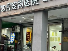 -四月宠物医院·猫专科·心脏专科·内科(转塘店)