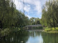 -北坞公园