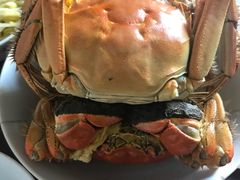 -阳澄湖大闸蟹·琼灵阁牌品牌连锁(吴中总店)