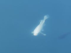 -四海公园(南山区)