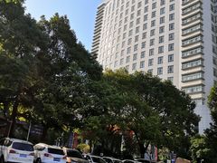 -上海市闵行区中心医院·停车场