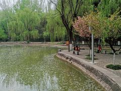 -西安市长乐公园