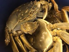 -澜悦港海鲜体验主题餐厅