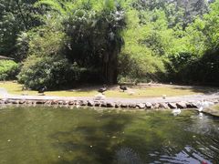 -南湾湖