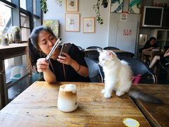 -吉丁鸟咖·异宠·寄养