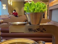 -西塔老太太泥炉烤肉(湖东领汇广场店)