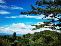 -神户六甲牧场(北野本店)