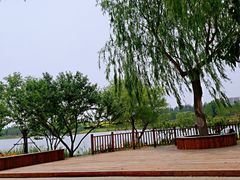 -东郊湿地公园