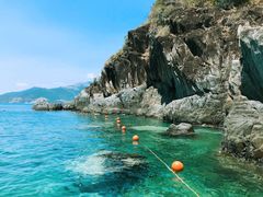 -100蛋泥浆浴