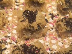 -驻海渔市(置信店)