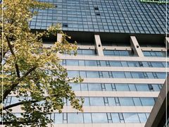 -上海虹桥西郊假日酒店