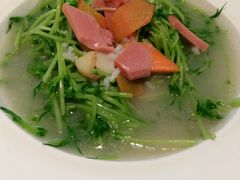 上汤豆苗-如轩·海鲜砂锅粥·潮汕菜(海珠店)