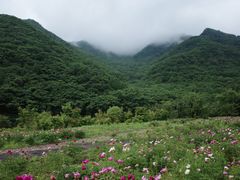 -丹东天桥沟景区