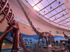 -陕西自然博物馆