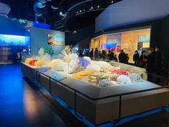 -贝林大翅鲸简餐厅(国家海洋博物馆店)