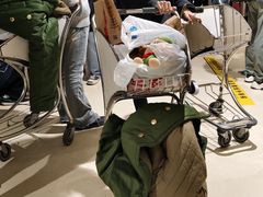 -哈尔滨太平国际机场-T2航站楼