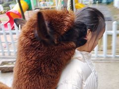 -天目湖涵田度假村