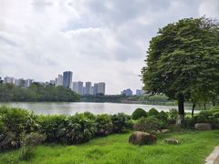 -飞来湖湿地公园