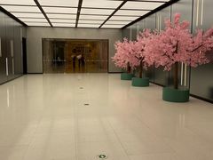 -金茂览秀城