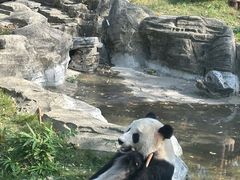 -武汉动物园