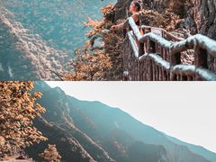 -武陵山森林公园