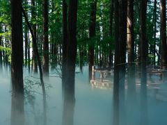 -东湖落雁景区