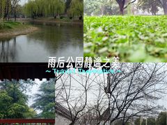 -堤角公园