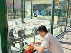 -水上乐园·欢乐世界