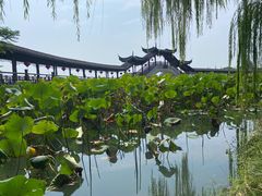 -观桥阁(锦溪店)