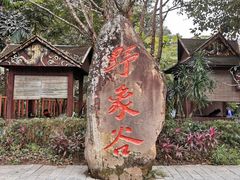 -野象谷景区