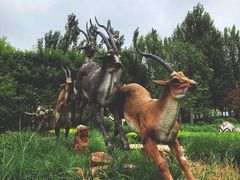 -武清南湖绿博园