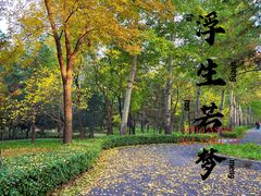 -森林公园(尖草坪区)