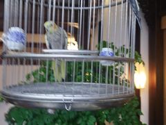 -蘭奢雅集·江浙菜(青山江滩店)