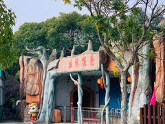 -上海海湾国家森林公园