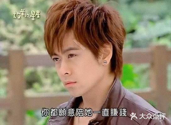 《放羊的星星》林志颖神颜